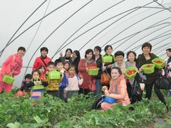 -大自然农场蔬菜草莓采摘园