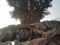 -郑州银基国际旅游度假区