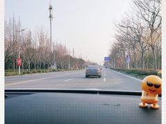 -喜杨洋草莓采摘园