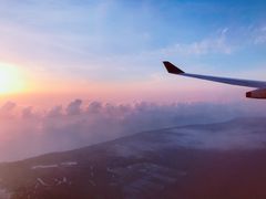 -新加坡航空公司(ION)