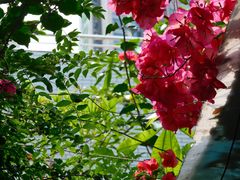 -豆舞咖啡(民乐路店)