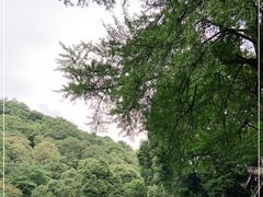 -青城山