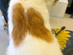 -平行世界·猫咖(首经贸店)