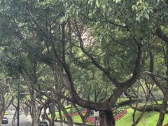 -廖记老砂锅(上清寺店)