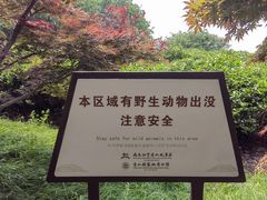 -南京市江宁方山