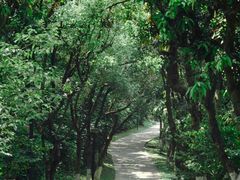 -燕晗山郊野公园
