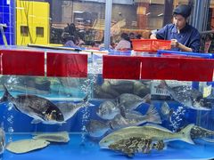 -明本湛江鸡•海鲜小厨(陈家祠店)