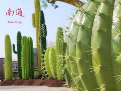 -南通洲际绿博园
