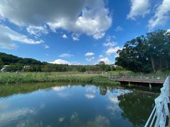 -牛岗山公园