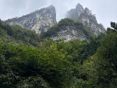 -鹿院坪生态旅游景区