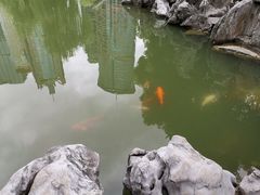 -陆家嘴中心绿地
