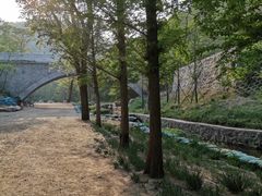 -白水寺森林公园