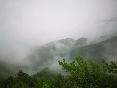 -北京鹫峰国家森林公园