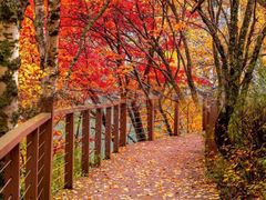 -叠溪松坪沟景区