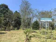 -炎帝陵景区