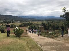 -黄色小屋