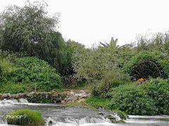 -贵阳市花溪国家城市湿地公园