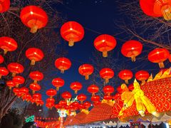 -南宫五洲植物乐园