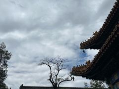 -雍和宫