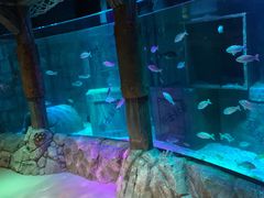 -沈阳海洋探索中心