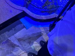 -青蓬蒸汽海鲜·深圳老字号·团建聚会(壹方城店)