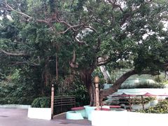 -龙环葡韵住宅式博物馆