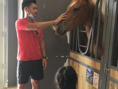 -骑乐马术(广州奥体优托邦中心)