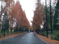 -塔川景区