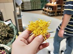 -博纳国际影城(铜锣湾激光巨幕杜比店)