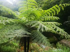 -赤水丹霞旅游区·佛光岩