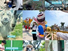 -西霞口神雕山野生动物世界