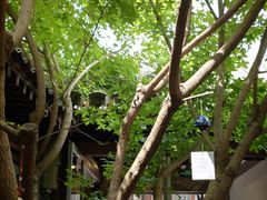 -VOYAGE COFFEE(杨梅竹店)