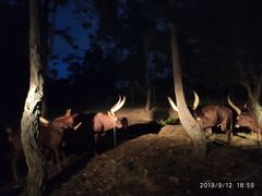 -清迈夜间动物园