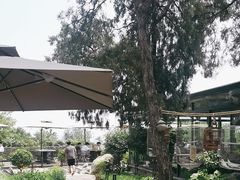 -蘇河湾·新鲁菜·泰山宴(泰山店)