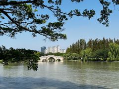 -江心屿景区