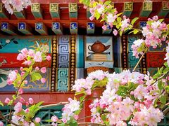 -元大都城垣遗址公园