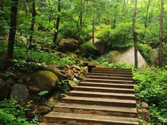 -大岭沟猕猴桃谷风景区
