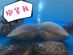 新鲜海鲜现烤-质烤烤物·活烤海鲜(质烤总店)