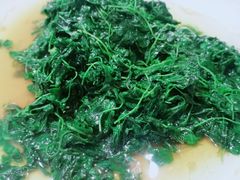 -阿英煲(凉城路店)