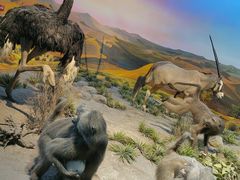 -国家自然博物馆