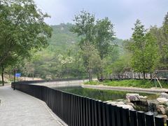 -白水寺森林公园