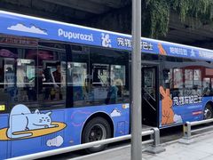 -帕帕拉兹宠物(亚洲旗舰店)