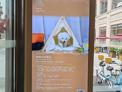 -成都安仁福朋喜来登酒店