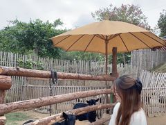 -泉州海丝野生动物世界