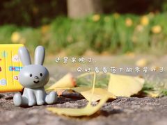 -上海方塔园