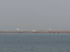 -江滩湿地公园