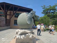 -广东惠东海龟国家级自然保护区