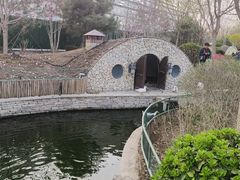 -南宫五洲植物乐园