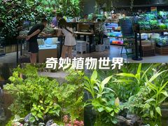 -万达坊(花园路店)