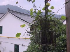 景观位-礼耕堂·百年茶人餐厅(梅家坞店)